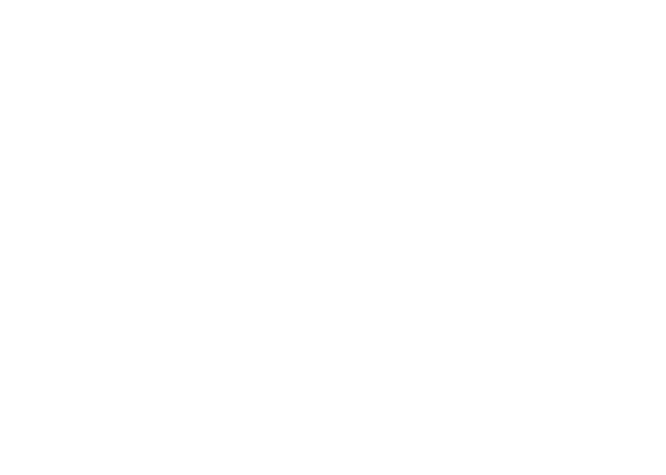 SWI Group